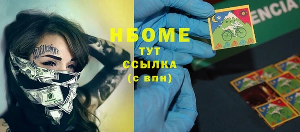 индика Пестово