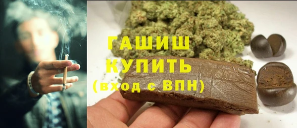 индика Пестово