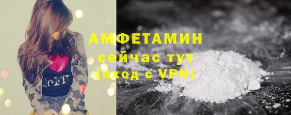 индика Пестово