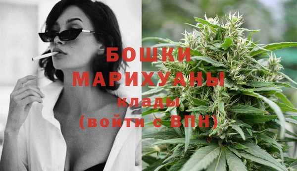 ешки Пересвет