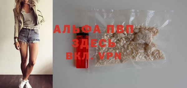 ешки Пересвет