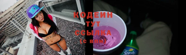 индика Пестово