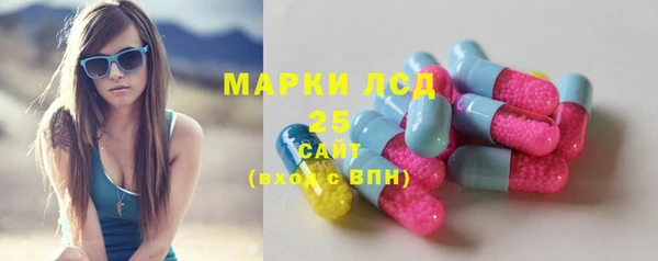 ешки Пересвет