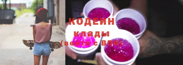 ешки Пересвет
