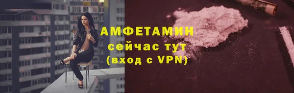 ешки Пересвет