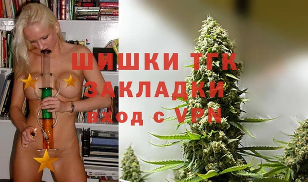 индика Пестово