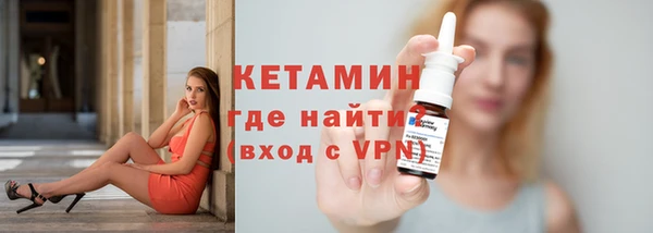индика Пестово