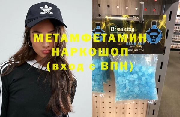 индика Пестово