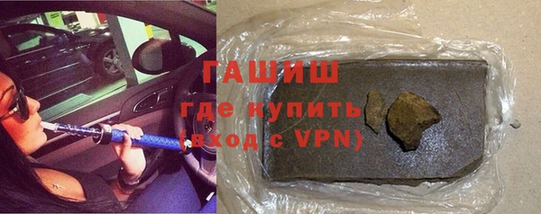 индика Пестово