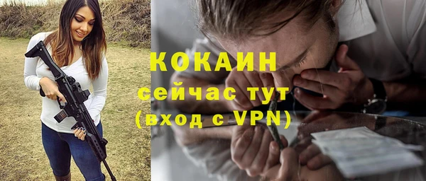 индика Пестово