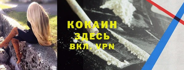 дурь Переславль-Залесский