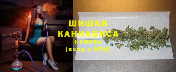 индика Пестово