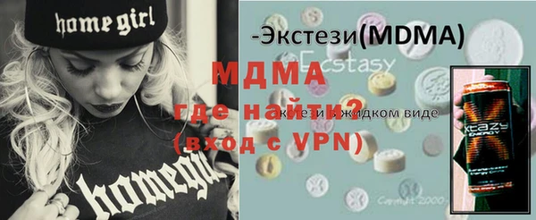 индика Пестово