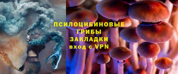 индика Пестово