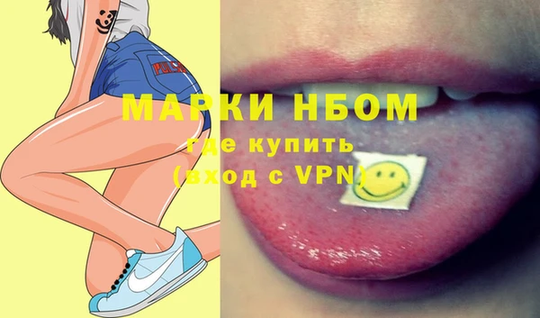 индика Пестово