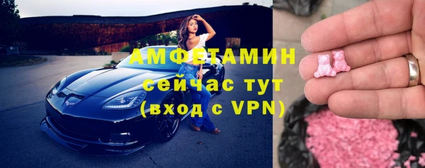 индика Пестово