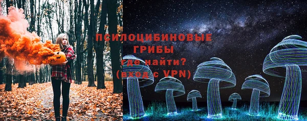 индика Пестово
