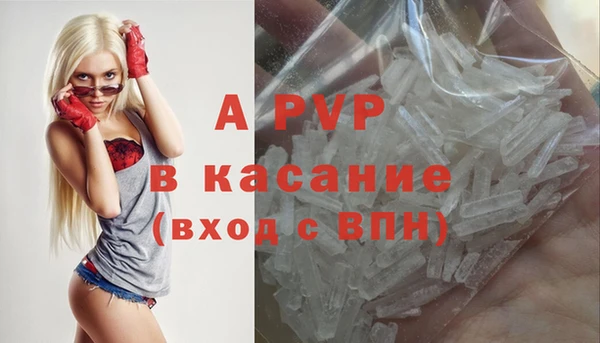 индика Пестово