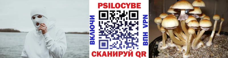 ОМГ ОМГ зеркало  Славянск-на-Кубани  Псилоцибиновые грибы прущие грибы 